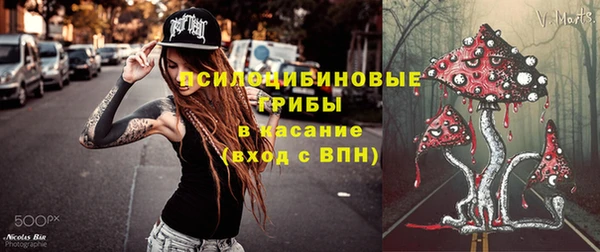 молекула духа Баксан